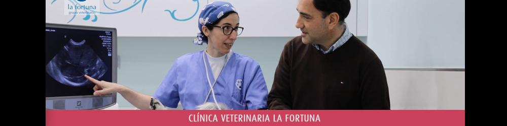 Clínica veterinaria La Fortuna